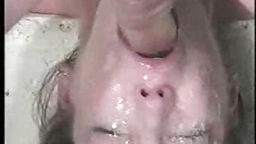 부정 행위 관 비디오