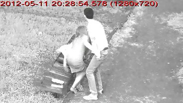 성인 영화 트리플 엑스 포르노