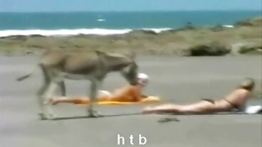 콜롬비아나 섹스 xxx